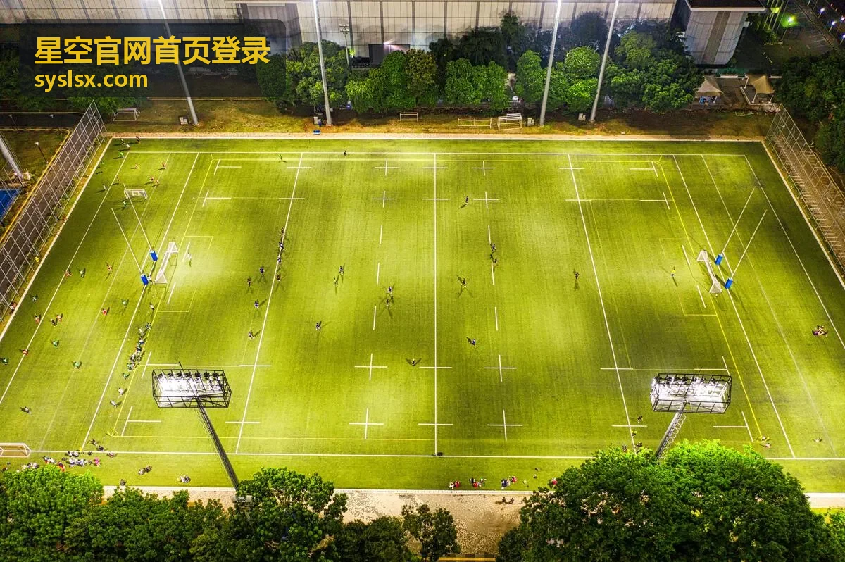 提交星空官网首页登录账号问题的人工协助说明