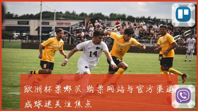 欧洲杯票哪买 购票网站与官方渠道成球迷关注焦点