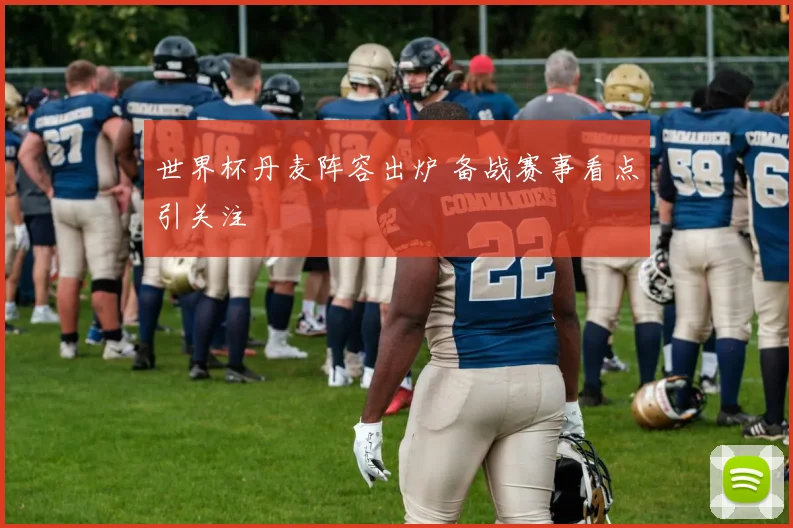 世界杯丹麦阵容出炉 备战赛事看点引关注
