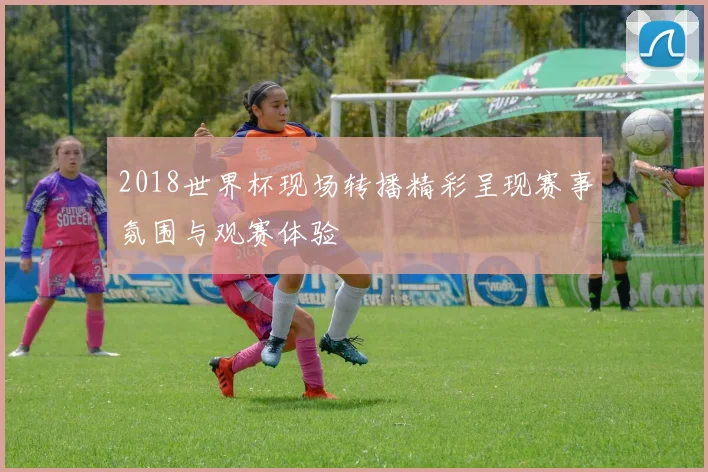 2018世界杯现场转播精彩呈现赛事氛围与观赛体验