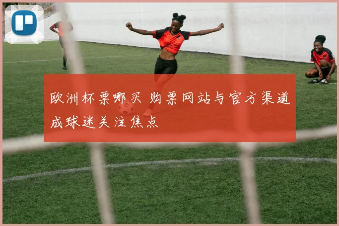 欧洲杯票哪买 购票网站与官方渠道成球迷关注焦点